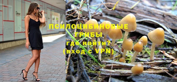 ешки Баксан
